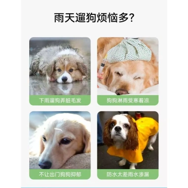 Áo mưa chó cỡ lớn, che chân, chống nước, phong cách Anh quốc cho Golden, Shepherd, Labrador, Shiba Inu, giá giảm 550k 2