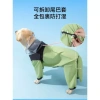 Áo mưa chó cỡ lớn, che chân, chống nước, phong cách Anh quốc cho Golden, Shepherd, Labrador, Shiba Inu, giá giảm 550k 5