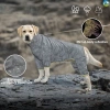 Áo Mưa Chó Lớn Phản Quang 4 Chân Chống Thấm, Dành Cho Golden Retriever, Labrador 5-37kg - Giá Ưu Đãi 495,469 VNĐ 7
