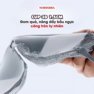 Áo Ngực Đúc Su Không Gọng Nâng Quả Tự Nhiên – Áo Lót Ren Gợi Cảm Amybra A1.849 141.000₫ 9
