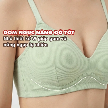 Áo Ngực Nữ Cotton Đệm Mỏng Ôm Ngực Tự Nhiên Không Gọng - Mềm Mại Thoáng Khí AMYBRA A409 Giá 82.000₫