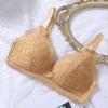 Áo Ngực Ren Gợi Cảm Đính Nơ, Không Gọng, Mút Mỏng Ôm Ngực Êm Ái - AMYBRA A2.004 Giá 103.000 VND 8