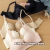 Áo Ngực Su Ren Mềm Mại Không Gọng Nữ AMYBRA A5.482 - Mẫu Mới 2.026 Giá 125k 3