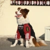 Áo nỉ chó 4 chân 12-45kg, lót nỉ thoáng khí, giảm lông, phù hợp Husky & Golden - Giá ưu đãi 393k