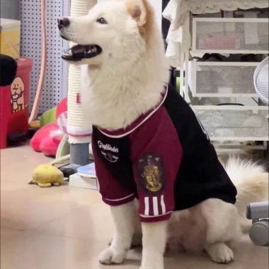 Áo nỉ chó 4 chân 12-45kg, lót nỉ thoáng khí, giảm lông, phù hợp Husky & Golden - Giá ưu đãi 393k