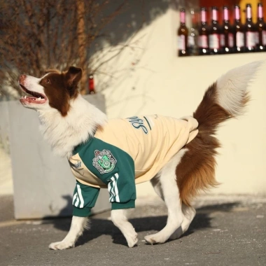 Áo nỉ chó 4 chân 12-45kg, lót nỉ thoáng khí, giảm lông, phù hợp Husky & Golden - Giá ưu đãi 393k