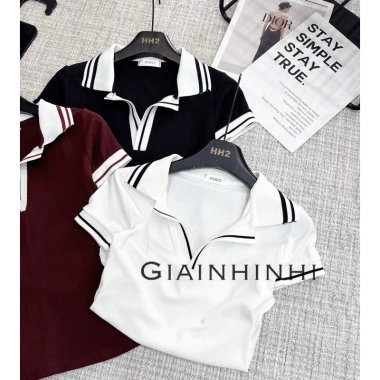 Áo polo cổ chun ôm body, tay cổ bẻ bo AT6.666-E3TH - Giá ưu đãi 119k - NhiNhi Shop