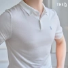 Áo Polo nam Dệt kim cao cấp THE D Regular, cổ bẻ cổ điển AN100 – 990.000 VND 2