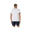 Áo Polo Thể Thao Nam Asics COURT POLO SHIRT 2.041A256.102 - Giá ưu đãi 931.500₫ 2