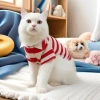 Áo POLO thoáng khí kẻ sọc giảm rụng lông cho mèo và chó nhỏ Corgi Pom dùng quanh năm 4