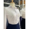 Áo sơ mi công sở nữ Tây Collection form cũ đa màu trắng xanh hồng vàng - Giá 195.000₫