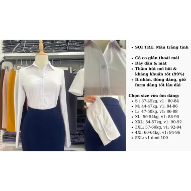 Áo sơ mi công sở nữ Tây Collection form cũ đa màu trắng xanh hồng vàng - Giá 195.000₫