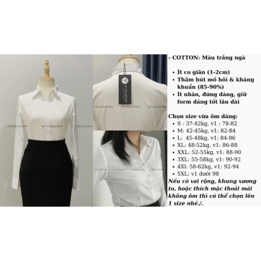 Áo sơ mi công sở nữ Tây Collection form cũ đa màu trắng xanh hồng vàng - Giá 195.000₫