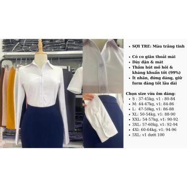 Áo sơ mi công sở nữ Tây Collection form cũ đa màu trắng xanh hồng vàng - Giá 195.000₫