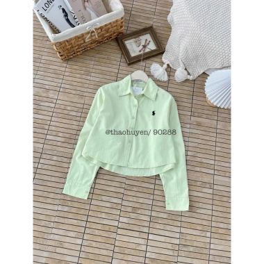 Áo sơ mi croptop thêu ngựa Basic chất thô mịn - Phù hợp học, làm, dạo phố, giá 280k 9