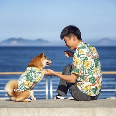 Áo sơ mi Hawaii cho thú cưng – Shiba Inu, Golden Retriever, mèo trắng 295.797 VND 10