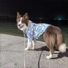 Áo sơ mi hoa tay ngắn cho chó lớn polyester thoáng mát Golden, Border Collie - Giảm giá 8