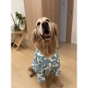 Áo sơ mi hoa tay ngắn cho chó lớn polyester thoáng mát Golden, Border Collie - Giảm giá 9