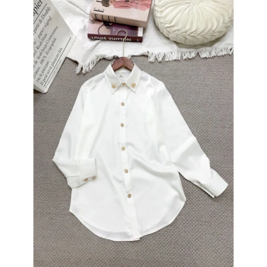 Áo sơ mi lụa nhật cúc đồng công sở cao cấp - Đẹp sang, giá 269k 10