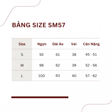 Áo Sơ Mi Nữ Công Sở Thanh Lịch SM57 - Hàng Quảng Châu Cao Cấp Giá 165k Giảm Sốc