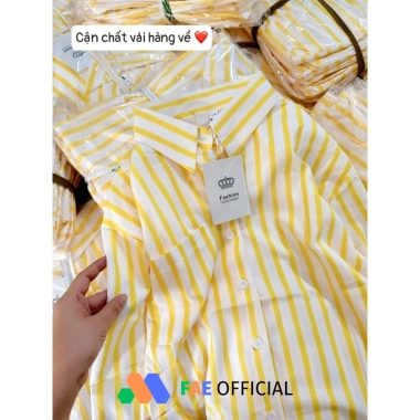 Áo sơ mi nữ dài tay FAE OFFICIAL kẻ vàng tôn da 250gsm thoáng mát 116.619 VND