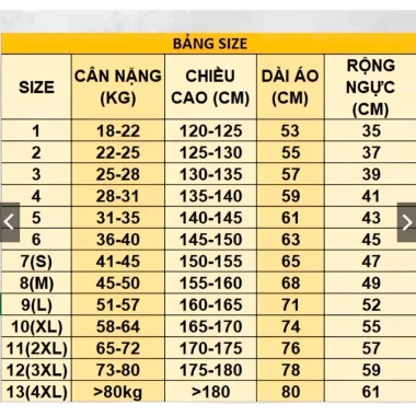 Áo sơ mi trắng đồng phục học sinh lớp 1-12 cộc tay dài tay, giảm 23% chỉ 77.000đ