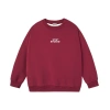 Áo sweater nỉ lông cáo lót nhung nam nữ 320GSM 100% cotton mềm mịn không bám bụi RTOML 7