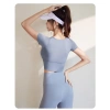 Áo Tập Gym Croptop Nữ Cộc Tay Thun Lạnh Co Giãn 4 Chiều Dáng Ôm, Thấm Hút Mồ Hôi - Giá 225.000đ 3