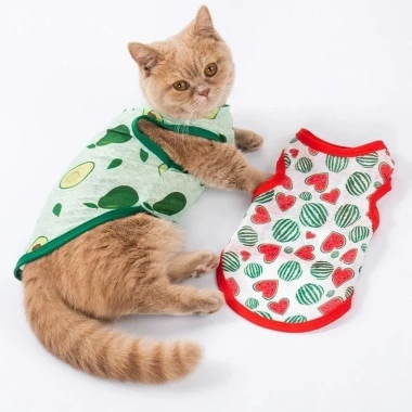 Áo Thú Cưng Mỏng Thoáng Mát Cho Chó Nhỏ Pomeranian Teddy - Mùa Hè Giá Ưu Đãi 136k 3 Áo Thú Cưng Mỏng Thoáng Mát Cho Chó Nhỏ Pomeranian Teddy - Mùa Hè Giá Ưu Đãi 136k 3