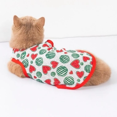 Áo Thú Cưng Mỏng Thoáng Mát Cho Chó Nhỏ Pomeranian Teddy - Mùa Hè Giá Ưu Đãi 136k 4 Áo Thú Cưng Mỏng Thoáng Mát Cho Chó Nhỏ Pomeranian Teddy - Mùa Hè Giá Ưu Đãi 136k 4