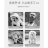 Áo Thú Cưng Mỏng Thoáng Mát Cho Chó Nhỏ Pomeranian Teddy - Mùa Hè Giá Ưu Đãi 136k 5