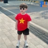 Áo thun bé trai, bé gái cotton size 15-60 in hình cờ, bản đồ Việt Nam, vui nhộn - 90.000đ