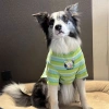 Áo thun chó lớn sọc xanh thoáng mát tay ngắn Golden, phù hợp Border Collie và Labrador đi dạo mùa hè 306.623 VND 3