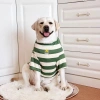 Áo thun chó sọc xanh 2 chân mềm thoáng khí chống rụng lông Husky Golden 430.266 2