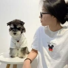 Áo thun cotton 100% đồ đôi thú cưng mùa hè ngắn tay 2 màu cho chó mèo Poodle Husky - 443.199 VND 2