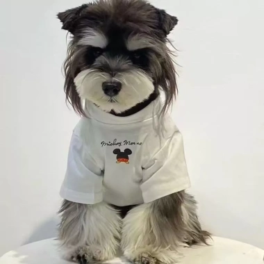 Áo thun cotton 100% đồ đôi thú cưng mùa hè ngắn tay 2 màu cho chó mèo Poodle Husky - 443.199 VND