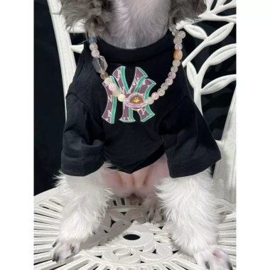 Áo Thun Cotton Hai Màu Tay Ngắn Họa Tiết Chữ Mùa Hè Cho Chó Bichon Pháp Size Lớn Giá Giảm 5 Áo Thun Cotton Hai Màu Tay Ngắn Họa Tiết Chữ Mùa Hè Cho Chó Bichon Pháp Size Lớn Giá Giảm 5