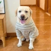 Áo thun dài tay chó lớn chống rụng lông, thoáng khí sọc đen trắng polyester Golden Retriever, Labrador, Border Collie 3