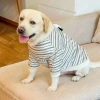 Áo thun dài tay chó lớn chống rụng lông, thoáng khí sọc đen trắng polyester Golden Retriever, Labrador, Border Collie 4