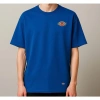 Áo thun DK AT01 cotton 100% dày dặn thoáng mát - Giá 309.000đ Heli Store 6