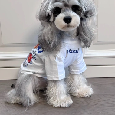 Áo thun đôi chủ & thú cưng 100% cotton mùa hè thoáng mát, họa tiết 2 màu cho chó và mèo - Giá ưu đãi 445.553₫