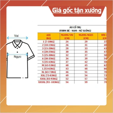 Áo thun đồng phục PGbank 2.023 mẫu mới, chất liệu thoáng mát, chỉ 149.000 đồng