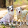 Áo thun hoa chó lớn ngắn tay, thoáng khí mát mẻ – Golden, Border Collie, Labrador