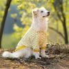 Áo thun hoa chó lớn ngắn tay, thoáng khí mát mẻ – Golden, Border Collie, Labrador 2