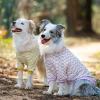 Áo thun hoa chó lớn ngắn tay, thoáng khí mát mẻ – Golden, Border Collie, Labrador 3
