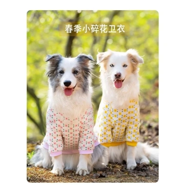 Áo thun hoa chó lớn ngắn tay, thoáng khí mát mẻ – Golden, Border Collie, Labrador 7 Áo thun hoa chó lớn ngắn tay, thoáng khí mát mẻ – Golden, Border Collie, Labrador 7