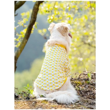 Áo thun hoa chó lớn ngắn tay, thoáng khí mát mẻ – Golden, Border Collie, Labrador