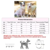 Áo thun hoa chó lớn ngắn tay, thoáng khí mát mẻ – Golden, Border Collie, Labrador 9