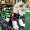 Áo thun in hình thú cưng mèo Puppy thoáng khí, phù hợp bốn mùa, giảm giá 21% 4