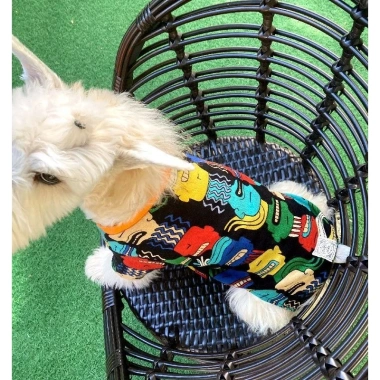 Áo thun in hình thú cưng mèo Puppy thoáng khí, phù hợp bốn mùa, giảm giá 21% 7 Áo thun in hình thú cưng mèo Puppy thoáng khí, phù hợp bốn mùa, giảm giá 21% 7